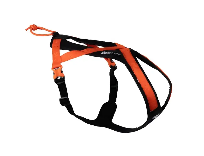 Expressleverans - Non-stop Rush Harness Black/Orange