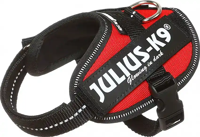 Julius K9 IDC Powerharness Röd | Prisnedsättning