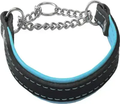 Alac Läderhalsband Turkos | Endast idag