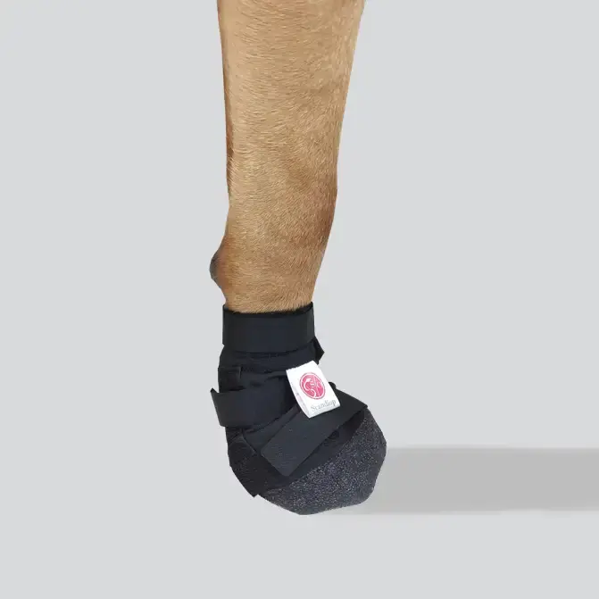 Scandi Orthopedic Hundsko | Skaffa nu