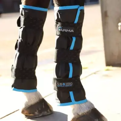 ARMA SubZero Kylskydd Black One Size - Deal