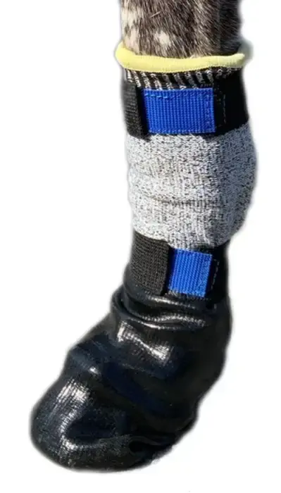 Beställ online - V.I.P Hundsocka MAX Protect Lång 4-pack