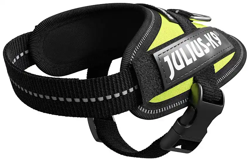 Julius K9 IDC Powerharness Neongrön - Nyhet i webbutiken