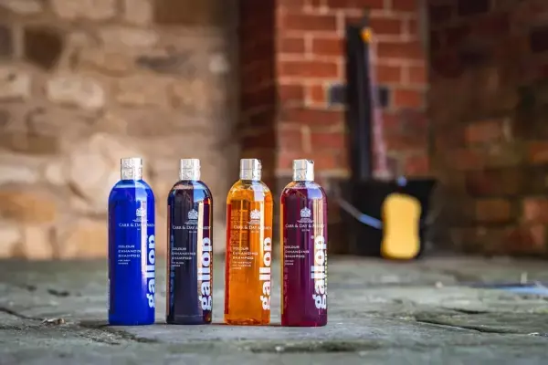 Gallop Colour Shampoo 500ml | Expressfrakt