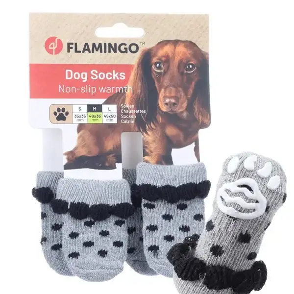 Prissänkt | Hundsockor Asia grå M 4-pack