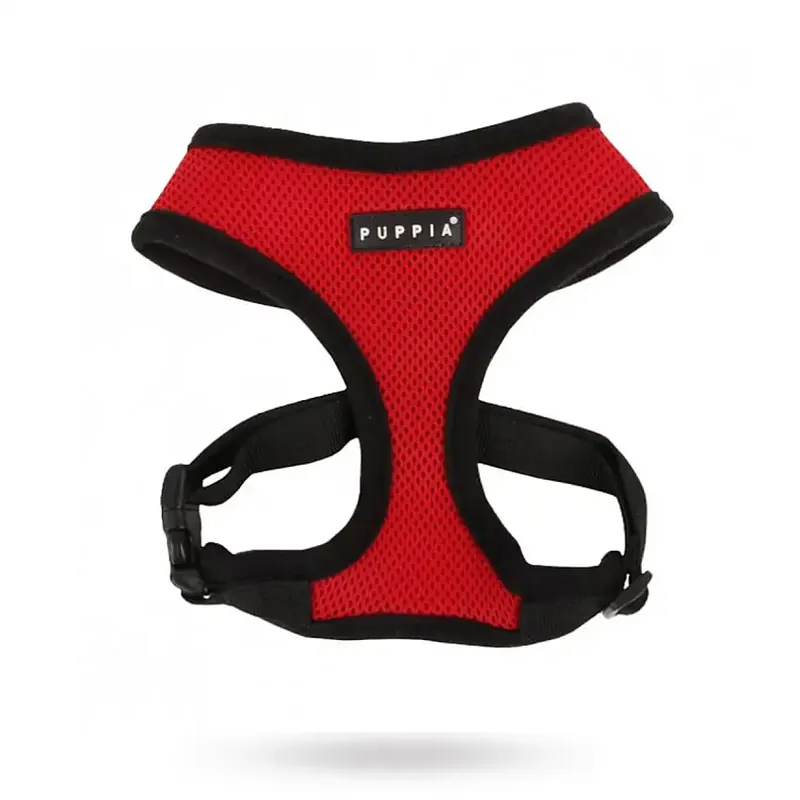 SOFT Red – Hundsele | Outlet