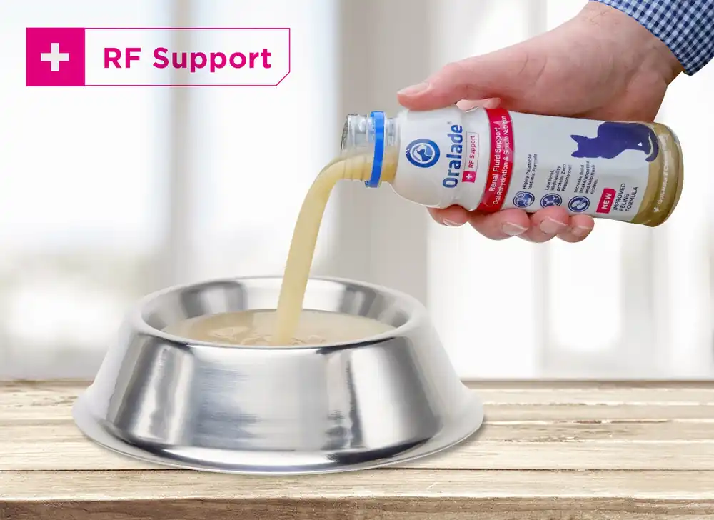 Oralade RF Support Cat – 330 ml - Precis inkommet