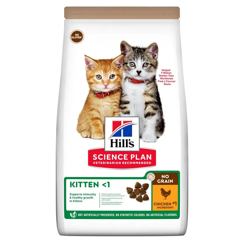 Kitten No Grain torrfoder med kyckling – 1,5 kg | Efterfrågad