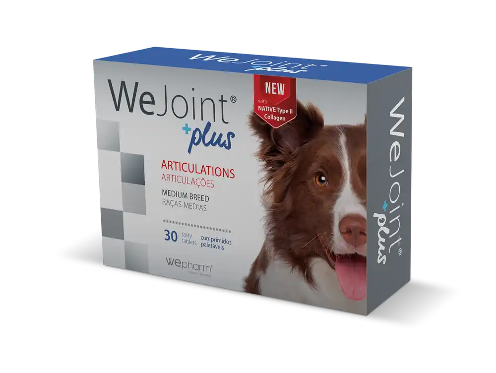 WeJoint Plus – Medium Breed - Slutrea
