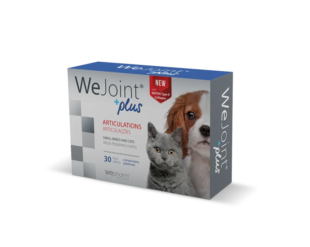 Passa på nu | WeJoint Plus – Small Breed/Cat