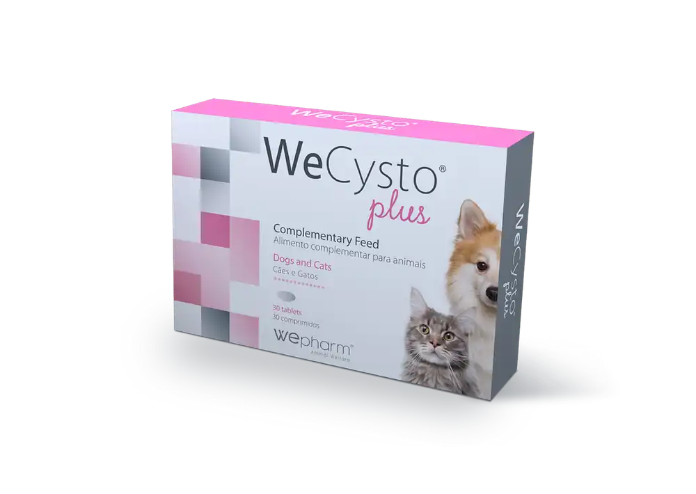 WeCysto Plus Tabletter – 30 tabletter - Tidsbegränsat erbjudande