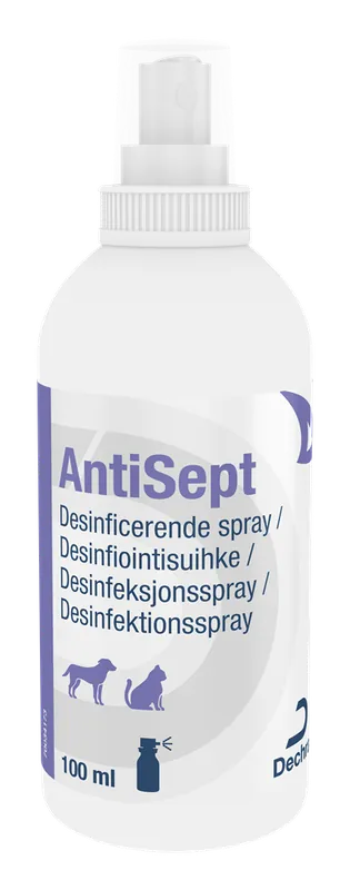 Bara idag - AntiSept – Flaska 100 ml