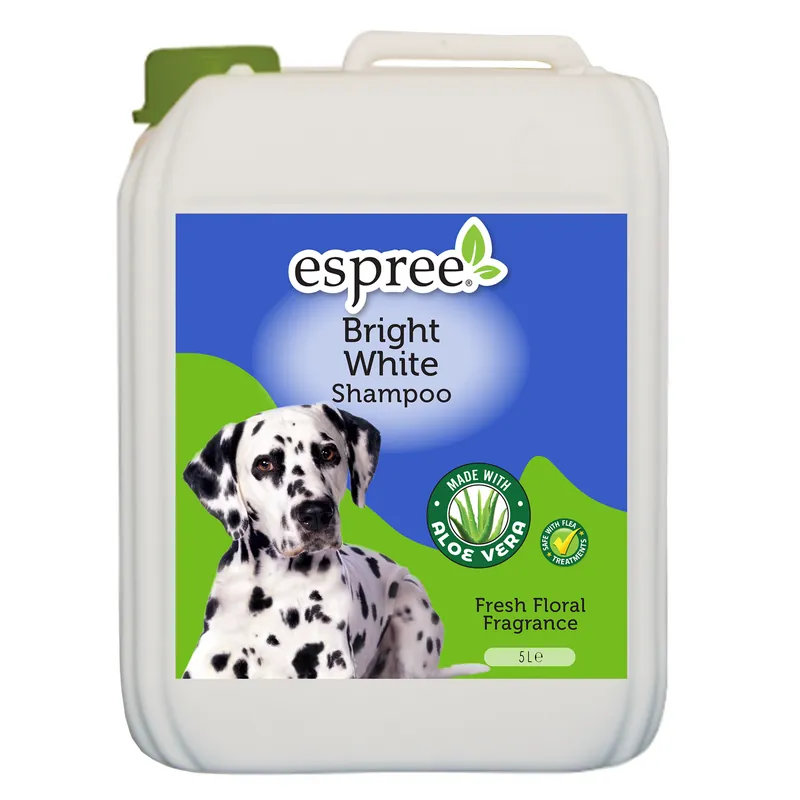 Bright White Schampo – 5 L - Utförsäljning