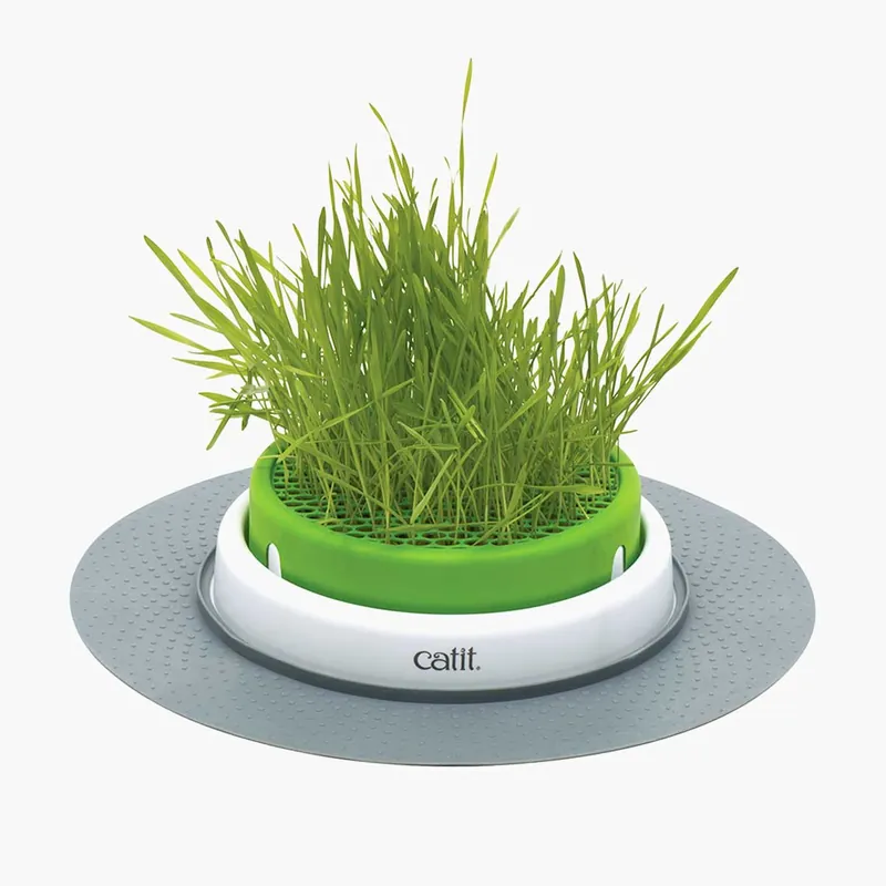 Senses 2.0 Grass Planter | Populär