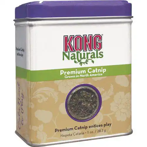 KONG Natural Catnip – 28 g | Rabatt