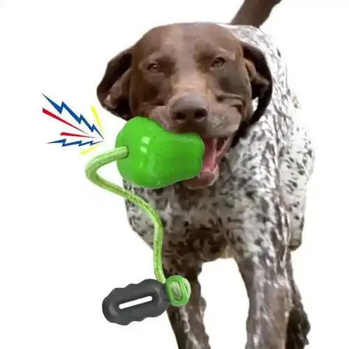 Gioco Corda Mela per Cani – Resistente e Atossico - Kampanjpris