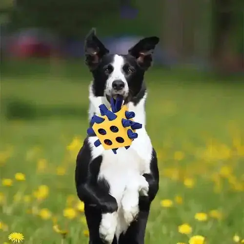 Tidsbegränsat erbjudande | Gioco per Cani ”Cubo Resistente” – Divertimento e Prensilità Perfetta
