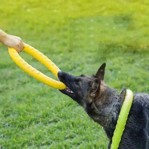 Gioco Puller per Cani – Anello Interattivo per Addestramento e Divertimento - Köp online