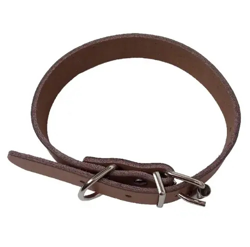 Hundhalsband, brun - Endast denna vecka