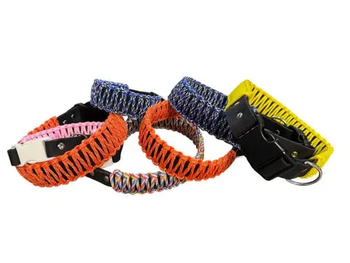 Endast ett fåtal kvar | Hundhalsband, ej justerbart