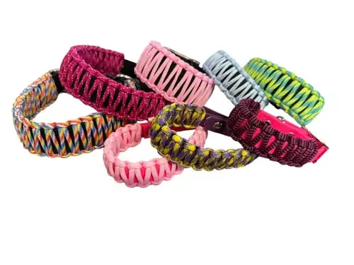Snabb leverans - Hundhalsband, justerbart