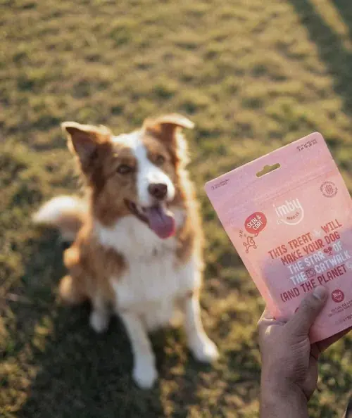 IMBY Daytime Dog Snacks | Professionell kvalitet