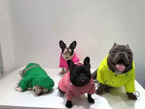 Expressleverans | Impermeabile per Cani con Cappuccio e Inserti Riflettenti Modello ”Goccia”