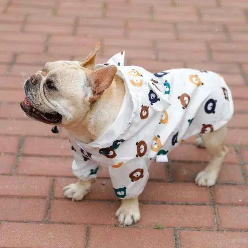 Impermeabile per cani e Bulldog francese ”Soft Trench” - Premium