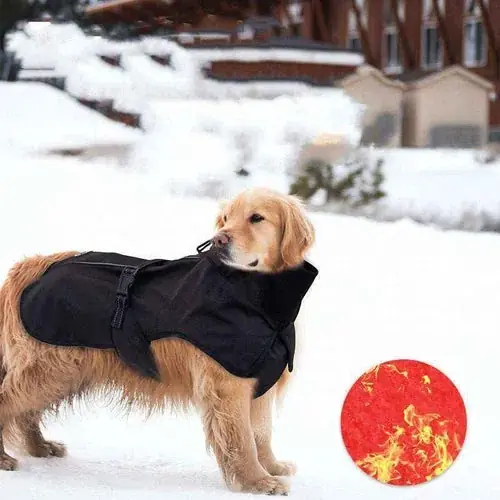 Toppsäljare | Impermeabile per cani e Labrador Retriver ”Himalaya”