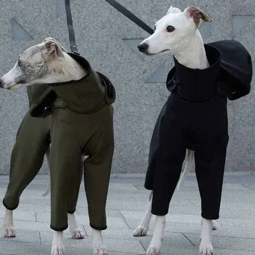 Bra pris just nu | Impermeabile per cani e levrieri ”Elegant”