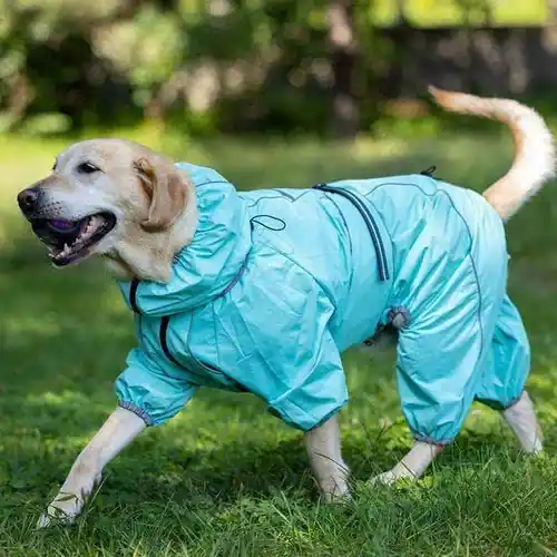 Fyndpris - Impermeabile per Cani Golden Retriever Modello ”RainMaster”