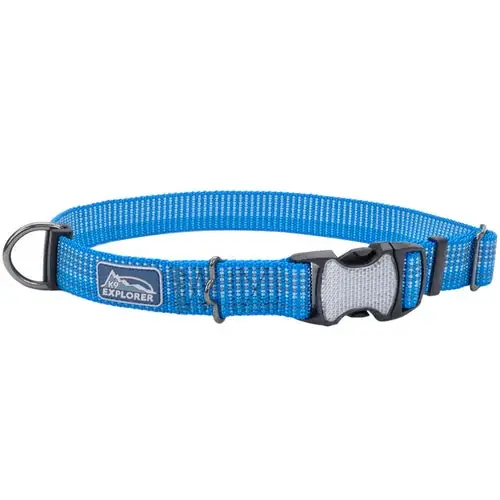 K9 Explorer® Brights Reflective Adjustable Dog Collar, Blue Large | Bara denna vecka