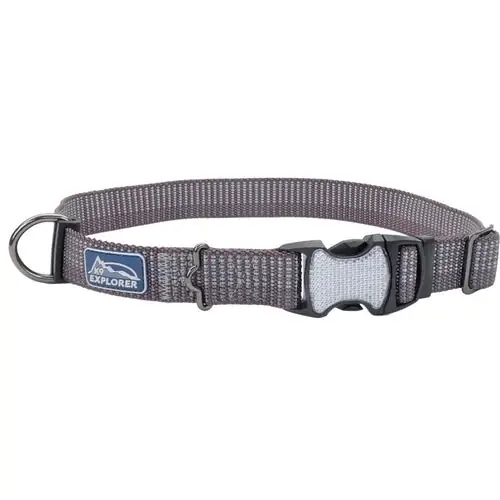 Köp idag | K9 Explorer® Brights Reflective Adjustable Dog Collar, Grey Medium