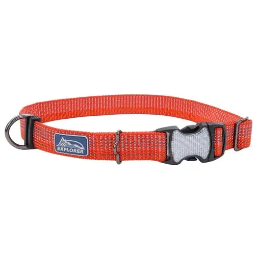 Endast idag | K9 Explorer® Brights Reflective Adjustable Dog Collar, Red X-Small