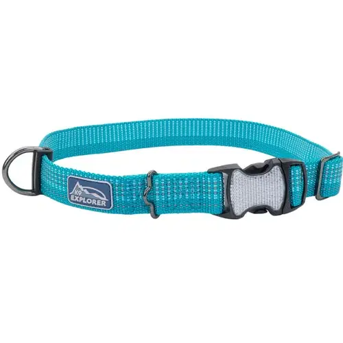 K9 Explorer® Brights Reflective Adjustable Dog Collar, Teal Large - Prisnedsättning