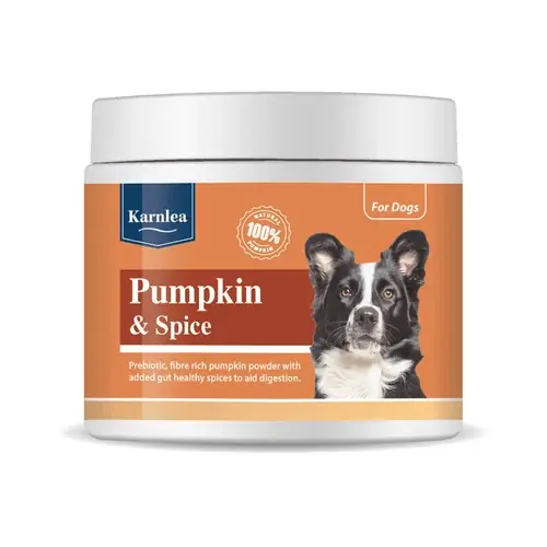 Karnlea Pumpkin & Spice Powder | Klar att skickas