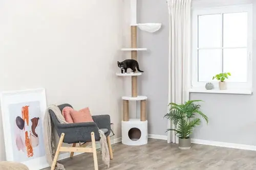 Expressfrakt - Klösmöbel Aurelio, golv-tak, 220-250cm, Vit