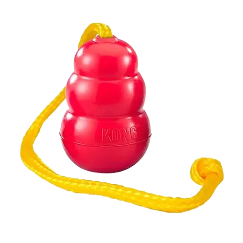 Endast idag - Kong Classic med Rep