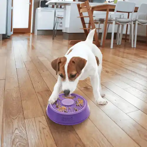 Ta chansen | Kong Licks Spinz