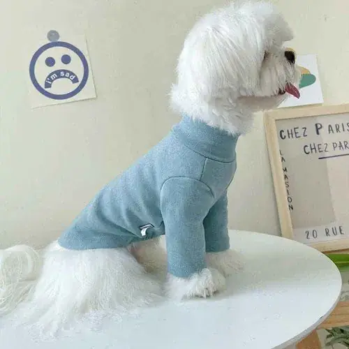 Rekommenderas | Maglia per cani ”Paris”