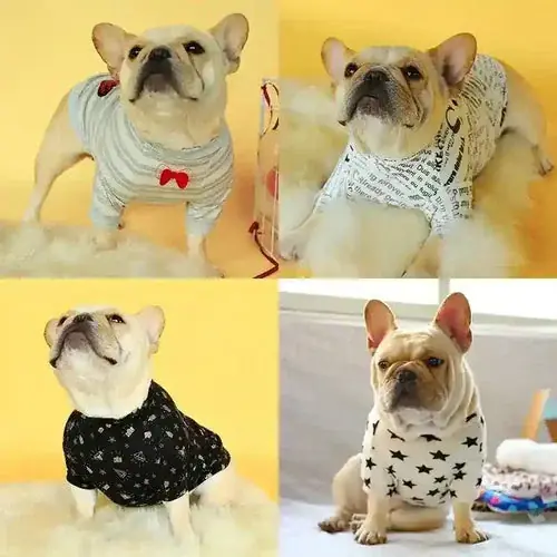 Maglia per cani e Bulldog con fiocchetto - Bara idag