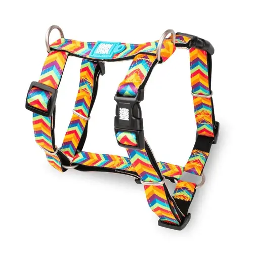 Max & Molly Summertime Dog Harness | Begränsat lager