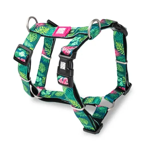 Max & Molly Tropical Dog Harness - Endast denna vecka