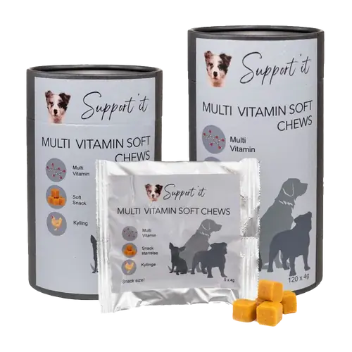 Premiumkvalitet - Multivitamin Soft Chews – 120 ST