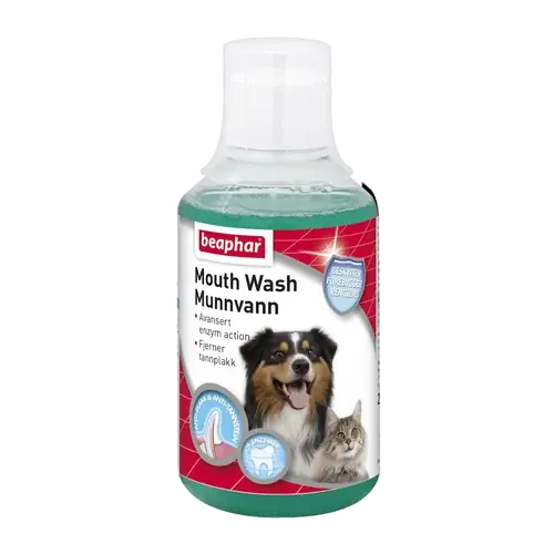 Nyhet | Munnvatten hund