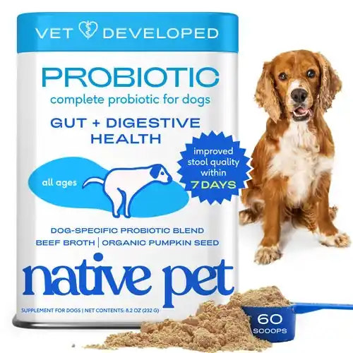 Kampanj | Native Pet Probiotic 8.2oz