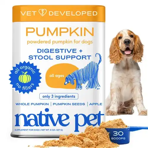 Native Pet Pumpkin 8 oz | Beställ idag