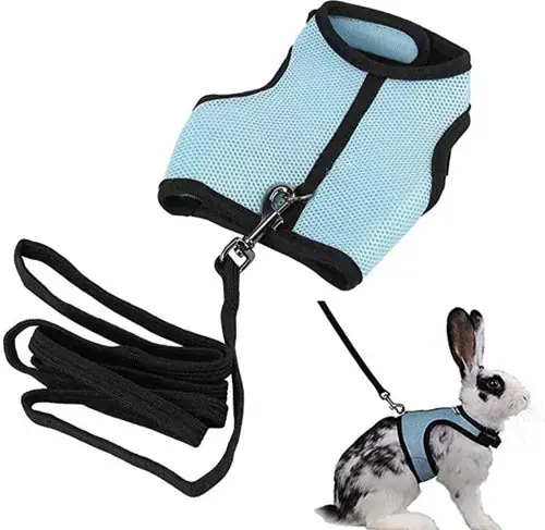 Missa inte erbjudandet | Pet Harness set