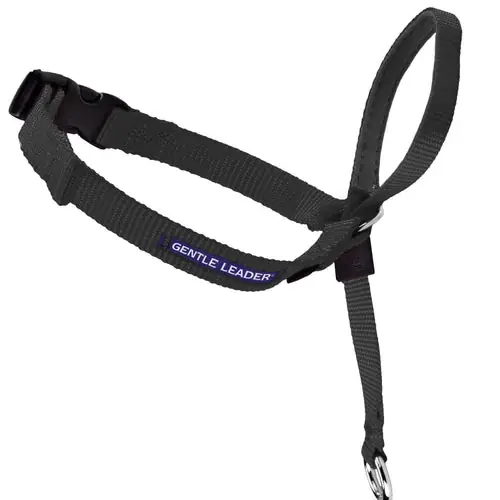 Expressfrakt | PetSafe® Gentle Leader® Headcollar, No-Pull Dog Collar