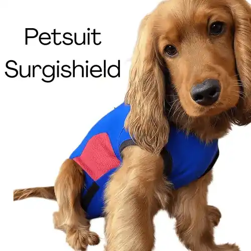 Enkel retur | Petsuit Surgishield